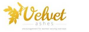 Velvet Ashes