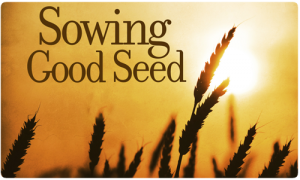 sowing good seed