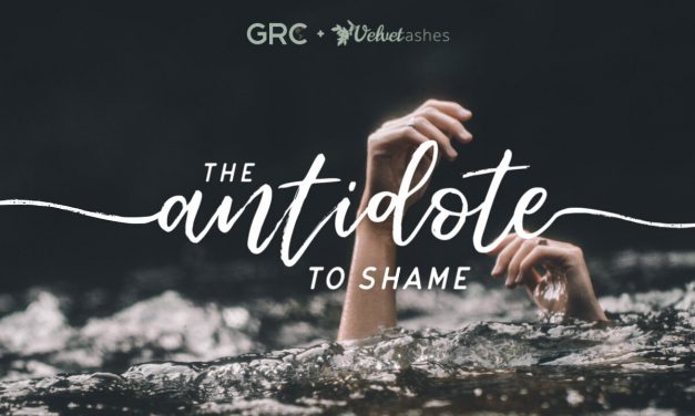 1) The Antidote to Shame Webinar (Act Quickly: This Webinar is on the 26 of March!!)