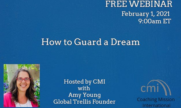 5) How to Guard a Dream