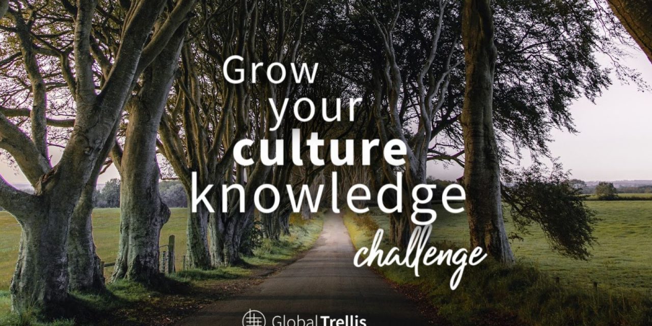 4) Grow Your Culture Knowledge