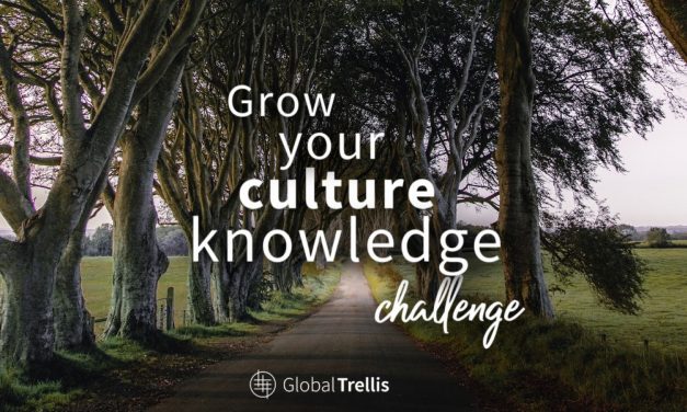 4) Grow Your Culture Knowledge