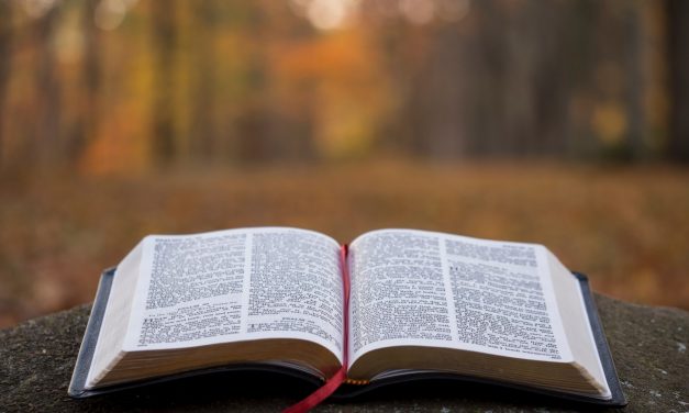 6) Bible Reading Plans in Many Languages