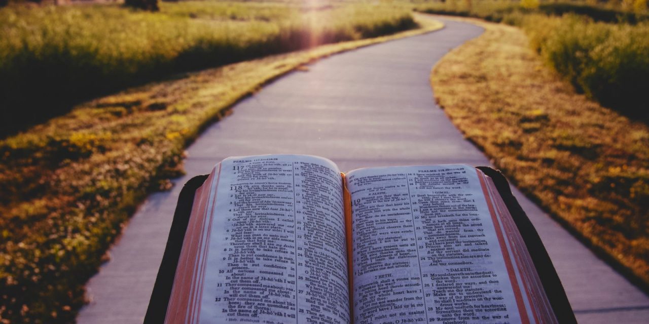 4) A Great Time to Kick Off a Bible Reading Plan