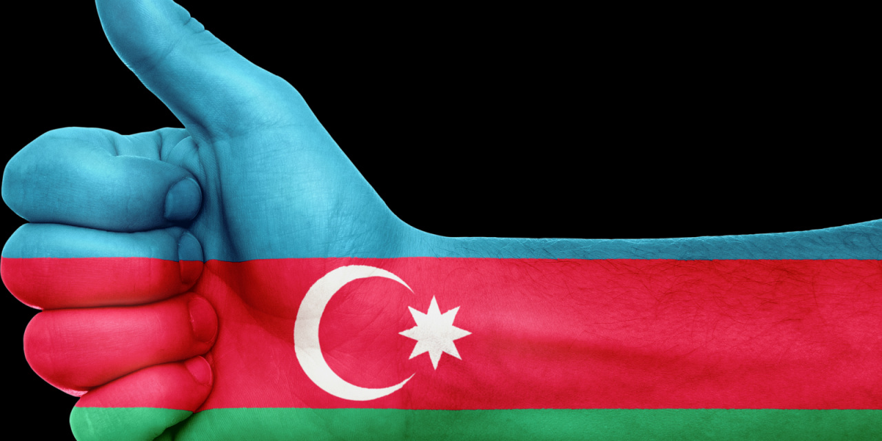 1) The Azerbaijani Partnership: A Great Case Study