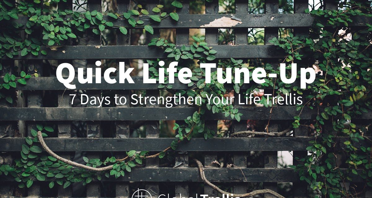 10) Need an easy “Life Tune-Up”