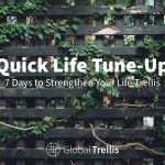 10) Need an easy “Life Tune-Up”