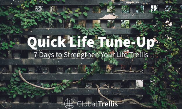 10) Need an easy “Life Tune-Up”