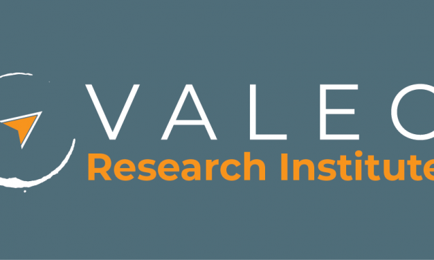 1) Valeo Research Institute Pilot Project Now Live!