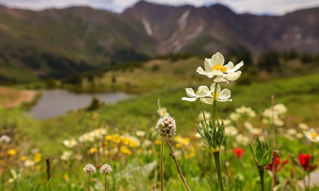 6) Colorado Thrive Women’s Retreat