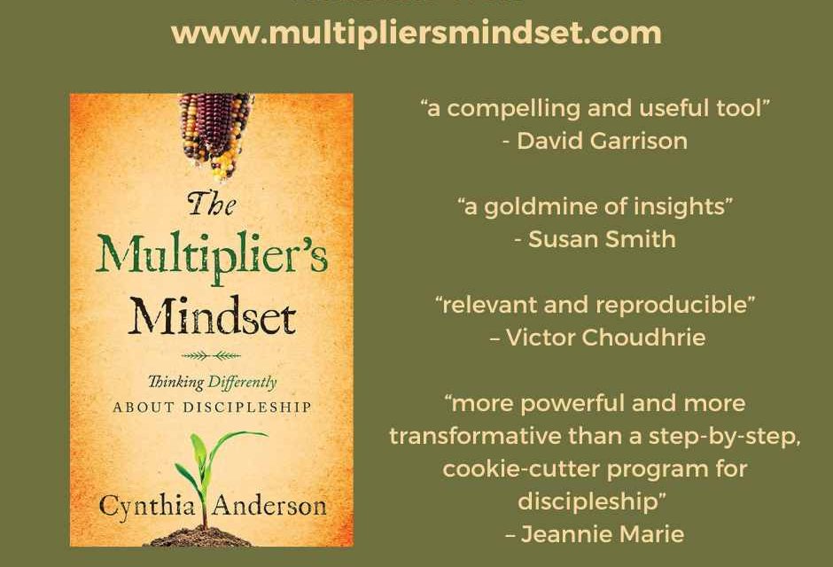6) The Multiplier’s Mindset