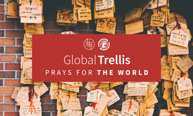 6) Join Global Trellis Praying for the World