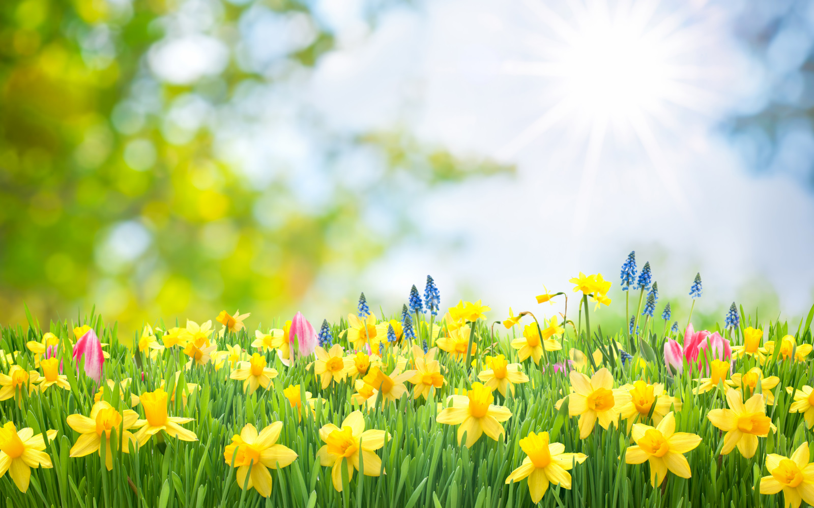 Spring Easter background Brigade