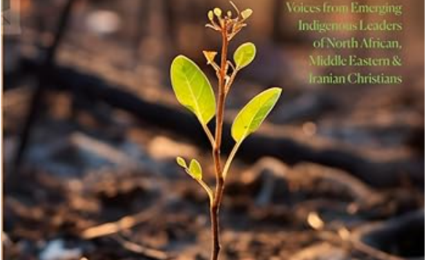 8) Books That Build Us: Brigada Readers’ Corner